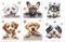 Peacoblue Rub on Transfer Decals for Furniture Crafts 6x12, 3Pcs Dogs Waterproof UV DTF Transfer Decals Sticker for Dresser Lingerie Chests Drawer Glass Porcelain Wood