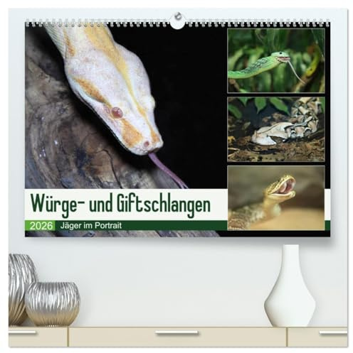 Würge- und Giftschlangen (hochwertiger Premium Wandkalender 2026 DIN A2 quer), Kunstdruck in Hochglanz: Schlangen: benachteiligt, aber genial (CALVENDO Tiere)