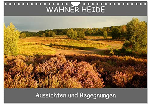 Wahner Heide - Aussichten und Begegnungen (Wandkalender 2026 DIN A4 quer), CALVENDO Monatskalender: Impressionen der Wahner Heide, ein kleines aber ... Schönheit hier vorgestellt. (CALVENDO Natur)