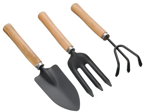 Wagoodter Lot de 3 Mini Outils de Jardinage à Main - Petits Outils légers en Fer - Râteau - Pelle - Bêche - pour intérieur et extérieur - Plantation en Pot (B)