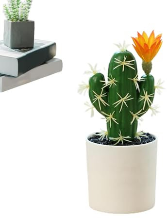 Derwrtup Cactus artificiale, cactus finto | Piante di cactus finti,Pianta grassa artificiale decorativa per mensola da tavolo da scrivania interna, piante grasse finte per la decorazione del negozio