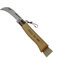 GIFAZ Coltello per Funghi (Caccia e Pesca | Legno di Faggio