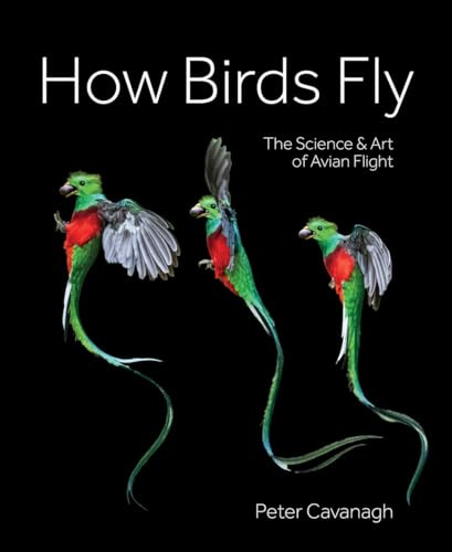 How Birds Fly: The Science and Art of Avian Flight