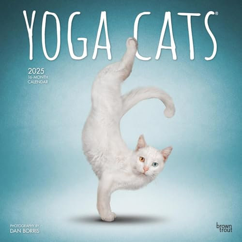 Yoga Cats – Yoga-Katzen 2025 – 16-Monatskalender: Original BrownTrout-Kalender [Mehrsprachig] [Kalender] (Wall-Kalender)