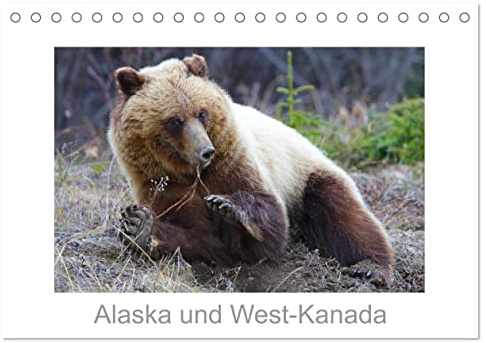 Alaska und West-Kanada (Tischkalender 2026 DIN A5 quer), CALVENDO Monatskalender: Landschaft und Tierwelt in Alaska/West-Kanada (CALVENDO Natur)