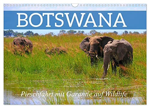 Botswana- Pirschfahrt mit Garantie auf Wildlife (Wandkalender 2026 DIN A3 quer), CALVENDO Monatskalender: Die Tiervielfalt als Selbstfahrer erleben (CALVENDO Tiere)