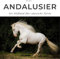 Andalusier: Der Bildband über spanische Pferde