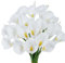 VaryFloral 20pcs Fleur Artificielle Lys Calla Fleur Artificielle Blanc Fausse Fleur PU Toucher Réaliste Artificielles Permanentes Bouquet pour Décoration d'Intérieur Centre de Table de Mariage