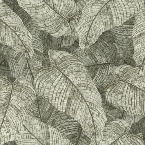 Rasch Amara 720549 Papier peint intissé avec motif moderne de feuilles vert olive, motif feuilles, tropical, botanique