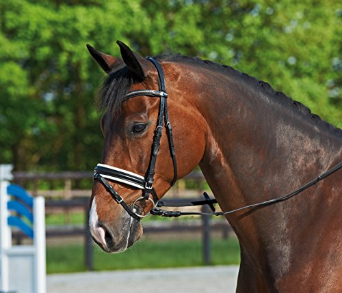 Busse