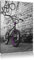 Pixxprint BMX Fahrrad vor Graffitiwand B&W, Größe: 60x40cm, Leinwandbild, fertig gespannt, Wandbild, Dekoration, Kunstdruck, kein Poster