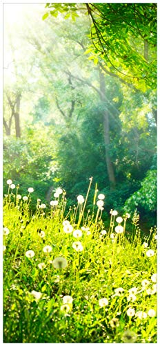 Wallario Selbstklebende Türtapete Pusteblumen im Wald mit einfallenden Sonnenstrahlen - Türposter 93 x 205 cm Abwischbar, rückstandsfrei zu entfernen
