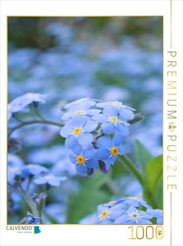 CALVENDO Puzzle Vergissmeinnicht (Myosotis) | 1000 Teile Lege-Größe 48 x 64 cm Foto-Puzzle für glückliche Stunden