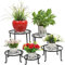 MUAEEOK Paquete de 5 soportes de metal para plantas, soporte resistente para maceta, para interiores y exteriores, metal inoxidable, contenedor de jardín, soporte redondo para macetas