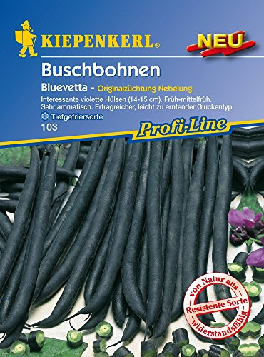 Kiepenkerl Buschbohnen Bluevetta