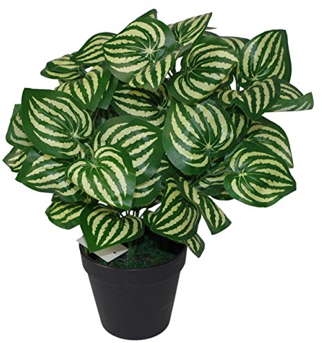 Leaf Kunstpflanze im Wassermelonen-Stil, 45 cm