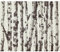 murando Fototapete selbstklebend Natur 392x280cm Foto Tapete Tapetenfolie Möbelfolie Wandverkleidung Wandtapete Motivtapeten Bildtapete Wohnzimmer 3d Effekt Modern Bäume Birke Wald Abstrakt Birkenwald
