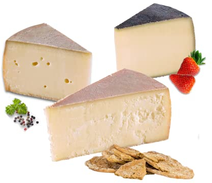 Almgourmet - Gourmet-Käsevariation Probierplatte (550g) - Zusammenstellung aus 3 Tiroler Käsesorten - würzig und kräftig im Geschmack