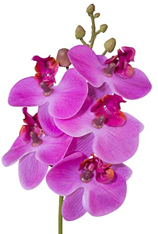 creativ home Künstliche Orchidee Orchideenzweig Kunstblume Phalaenopsis mit Stiel 27cm. Real Touch Oberfläche. (Lila)