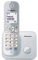 Panasonic KX-TG6811GS DECT Schnurlostelefon (strahlungsarm, Eco-Modus, GAP Telefon, ohne Anrufbeantworter, Festnetz, Anrufsperre) perl-silber