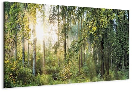 murando - Leinwand Bilder Landschaft 150x50 cm Vlies Leinwandbild Leinwandbilder 1 tlg Kunstdruck modern Wandbilder Groß XXL Wanddekoration Wand Bild Panoramabild - Sonnenstrahlen Natur Wald Bäume
