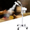 Vaporizador 2 en 1 para Sauna Facial Con 5 Lupas LED, Altura Regulable, Ozono - Spa y Belleza