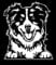 Autoaufkleber/Sticker/für Innen und Außen 28 cm weiß Australian Shepherd 02