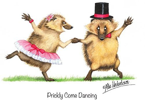 Funny Igel Grußkarte. Prickly Come Dancing. Eine Fun-Karte für Wildlife und Naturliebhaber