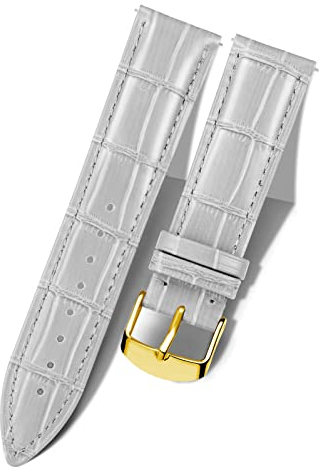 BINLUN Leder-Uhrenarmband Krokodilmuster Schnellverschluss Ersatz Kalbsleder Uhrenarmbänder Smartwatch 10 Farben 13 Größen mit Silber/Rose/Roségold Schnalle für Herren & Damen(Grau,10mm