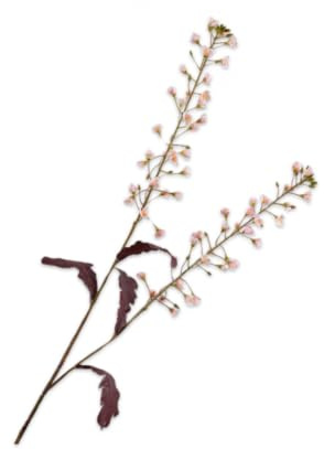 Silk-ka Kunstblume - Seidenblume Primelzweig rosa 85 cm