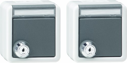 Gira 078730 Schuko Steckdose 2-Fach Beschriftungsfeld Schloss sort Wassergeschütz Aufputz, grau