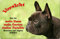 Nanyuk +++ Französische Bulldogge - Metall Warnschild Schild Hundeschild Sign - FBD 15 T1