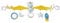 Fehn 065114 Kinderwagenkette Fledermaus – Mobile-Kette mit niedlichen Figuren für Babys und Kleinkinder ab 0+ Monaten – Länge: 48 cm