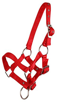 QHP Fohlenhalfter Halfter Fohlen Nylonhalfter 4 Fohlengrößen 6 Farben (Fohlen Full, rot)