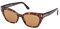 Sonnenbrillen Tom Ford JULIETTE FT 1031 Dark Havana/Light Brown 52/18/140 Damen