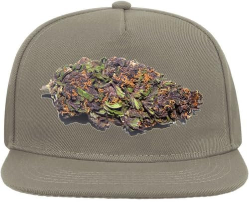 Purple Haze Snapback Flat Visor Baumwollmischung, Grau, grau, Einheitsgröße