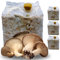 acquaverde | 3 Kit Coltivazione Funghi Cardoncelli, Pleutorus Eryngii, Fungo della Murgia Pugliese, Micelio selezionato di Prima Scelta, Ballette da 3 Kg
