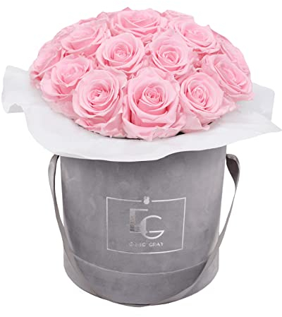 Splendid Infinity ROSEBOX | Velvet Gray - Infinity Rosen mit langjähriger Haltbarkeit, Edle Premiumrosen arrangiert in Einer Samtbox, Haltbare Rosen (M, Bridal Pink)