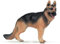 Papo 54004 - Schäferhund, Spielfigur