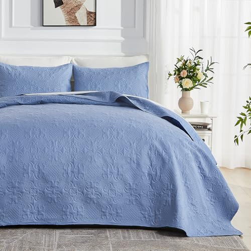 Qucover Tagesdecke 220x240 Graublau - Ultra Weiche Bettüberwurf aus Mikrofaser, Bei Ultraschall Genäht Mit 2 Kissenbezügen - Bedspreads, Sofa Überwurfdecke, Wohndecke für Bett