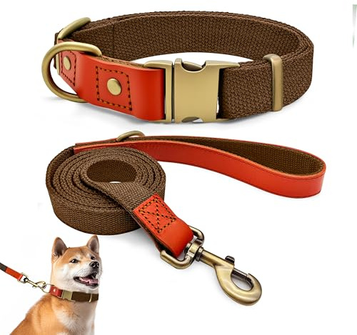 Hundehalsband und 150cm Leine Set L, Nylon Leder (Braun) | Verstellbares Set 2cm Breit Für Große Hunde, Reißfester Nylon-Leder Mix, Vintage Messing-Optik Verschluss, Outdoor