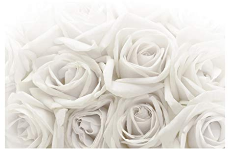Bilderwelten Blumen Fototapete modern inkl. Kleister 288x190cm - Vliestapete Made in Germany - große Blumen Tapete Schlafzimmer - Rosen Blumentapete 3D - Tapete floral Wohnzimmer Flur T_2625
