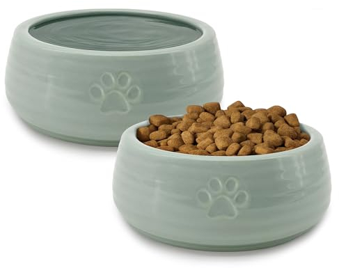 Ceramic Dog Bowls Set of 2, 6.3 Round x 2.4-Tall Pet Bowls, Cute Food and Water Puppy Bowl, Cat Dish Protect Cervical Spine, for Small Medium Dogs and Cats, Green