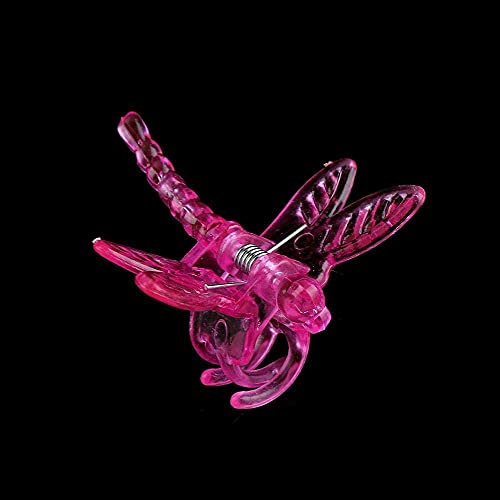 100pcs Outils De Jardin Tiges Clips Poussent Droit Orchidée en Plastique Mini Tiges Fleur pour Support Orchidée(Rose Rouge)