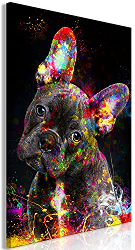 murando - Wandbilder Hund Bulldogge 60x90 cm 1 tlg - Wand Deko Vlies Leinwand Bilder Groß Wanddeko Wohnzimmer Schlafzimmer Kunstdrucke - Tiere Porträt Farbflecken bunt Abstrakt