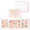 Gcardist Automatischer Popup 12 Cupcake-Boxen mit Fenster Weiße 6 Stück Cupcake-Boxen 33x25,4x9cm Bäckerei-Boxen für Cupcake-Träger, Cupcake-Behälter(13x10x3.5 inch)