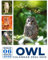 Owl Calendar 2024 - 2025: 30 Months Calendar Owl Jan 2024 to Jun 2026, 17 x 11 Opened, Thick & Sturdy Paper, Great Gift For Organizing & Planning, US Holidays