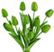 JUSTOYOU - Tulipani artificiali in lattice PU, sembrano veri al tatto, adatti per bouquet di nozze, per feste e come decorazione per la casa, 10 pezzi (verde)