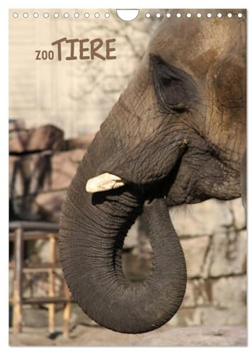 Zootiere (Wandkalender 2026 DIN A4 hoch), CALVENDO Monatskalender: Zootiere - von Vogel bis Säugetier (CALVENDO Tiere)