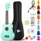 Sopran-Ukulele Anfängerset für Kinder Erwachsene Studenten mit kostenlosem Online-Unterricht 21 Zoll Ukelele Gig Bag Strap String Stickers Songbook Pick Poliertuch, Rainbow Series Ukalalee